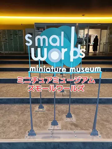 野良猫　イチくんとナナちゃんのTikTok投稿