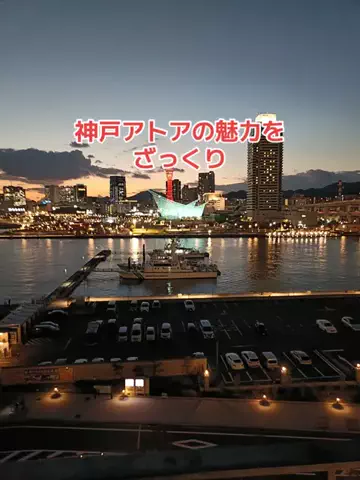 野良猫　イチくんとナナちゃんのTikTok投稿