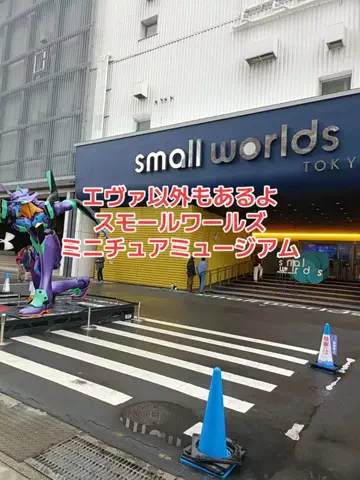 野良猫　イチくんとナナちゃんのTikTok投稿