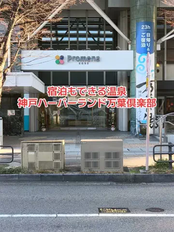 野良猫　イチくんとナナちゃんのTikTok投稿