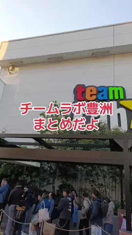 野良猫　イチくんとナナちゃんのTikTok投稿