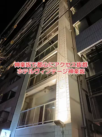 野良猫　イチくんとナナちゃんのTikTok投稿