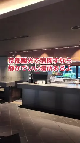 野良猫　イチくんとナナちゃんのTikTok投稿