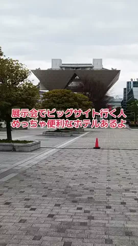 野良猫　イチくんとナナちゃんのTikTok投稿