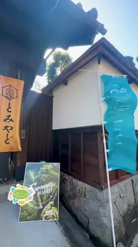 仙台つーしんエンタメ部のTikTok投稿
