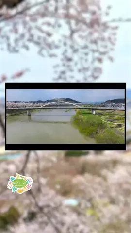 仙台つーしんエンタメ部のTikTok投稿
