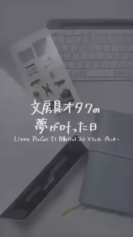 user25798626993472のTikTok PR投稿：Liene PixCut S1自動カットフォトステッカープリンター #shorts…