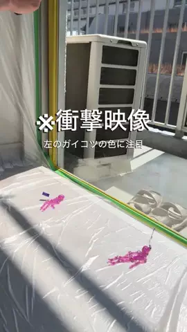 saku｜大人ポップな部屋と暮らしのTikTok投稿