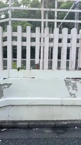 さいとう みゆきのTikTok投稿