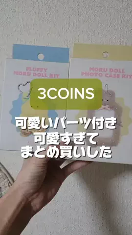 3coins_oikeのTikTok投稿