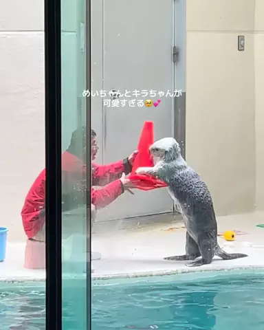 ひとみの日常🐥のTikTok投稿