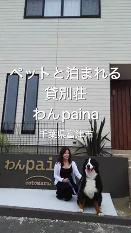 私はリンちゃんのTikTok投稿