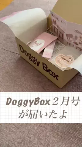 私はリンちゃんのTikTok投稿