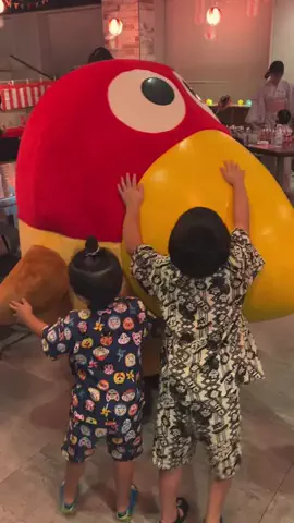 どっこいしょファミリーのTikTok投稿