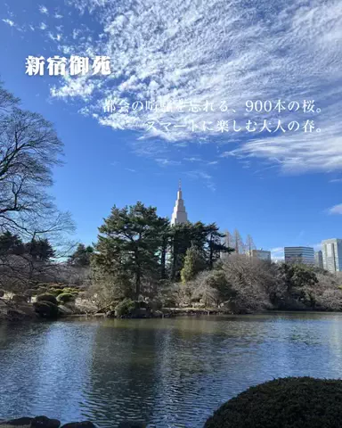 HOTEL PICKS｜ホテル・宿案内のTikTok投稿