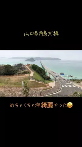 ウパのTikTok投稿