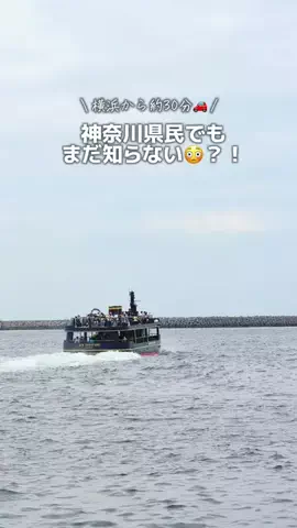 すぅ|神奈川発お出かけ&旅のTikTok投稿