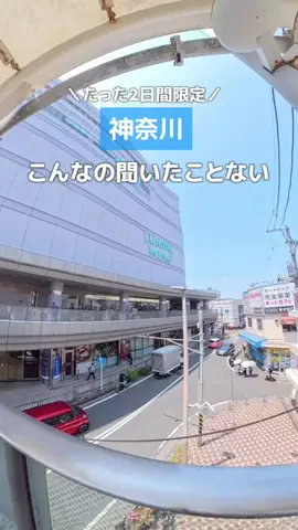 すぅ|神奈川発お出かけ&旅のTikTok投稿