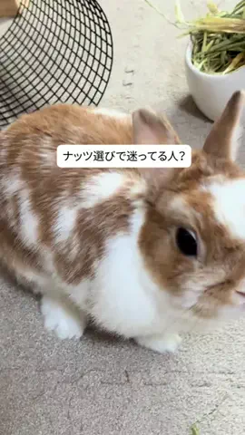 ゆいのTikTok投稿
