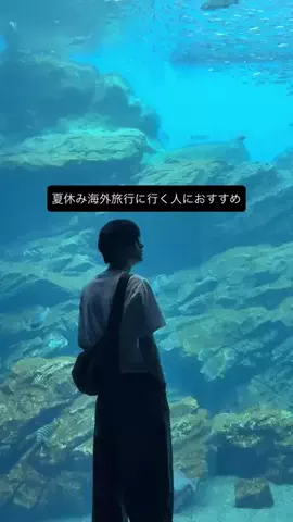 亮のTikTok投稿