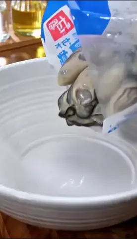 hana_budgettechのTikTok PR投稿：❤️ 【甲羅組】ジャンボ広島かき1kg（解凍後 850g/約26～35…