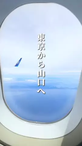 りりーのTikTok投稿