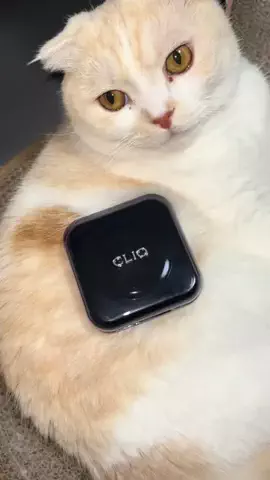 豊田 菜央😸のTikTok投稿
