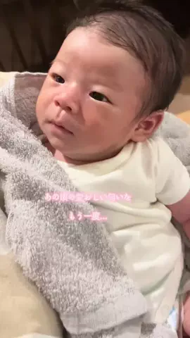 犬猫ベビーの暮らし👶🏼🐶🐈‍⬛のTikTok投稿