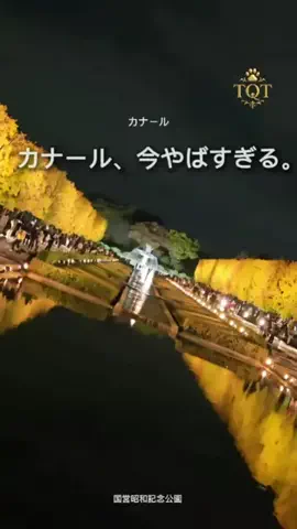東京クイーン [tokyoqueen]のTikTok投稿
