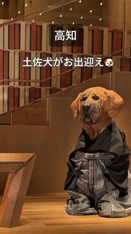 Yuko☺︎   香川子連れおでかけ▶︎グルメ＆旅行のTikTok投稿