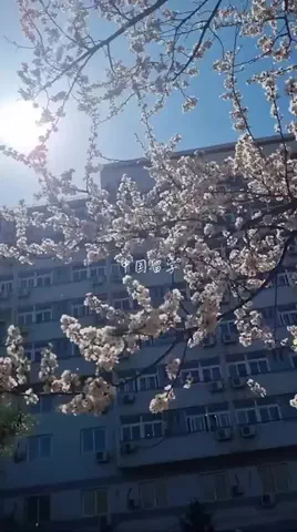 LILIYのTikTok投稿
