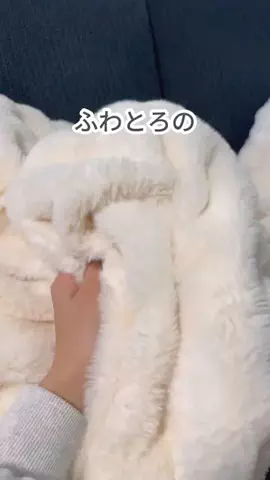 あいな⌇ずぼらママの推しアイテム.･ﾟのTikTok投稿