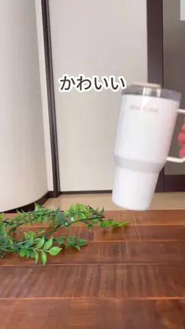 あいな⌇ずぼらママの推しアイテム.･ﾟのTikTok投稿