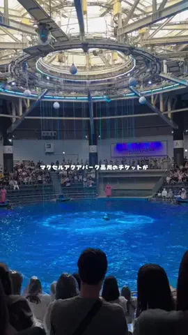 かな？｜台湾ワーホリ中🇹🇼のTikTok投稿