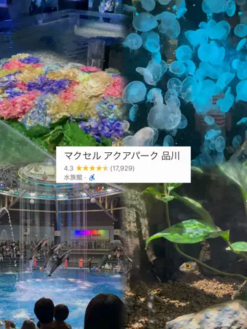 かな？｜台湾ワーホリ中🇹🇼のTikTok投稿