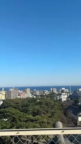 かな？｜台湾ワーホリ中🇹🇼のTikTok投稿