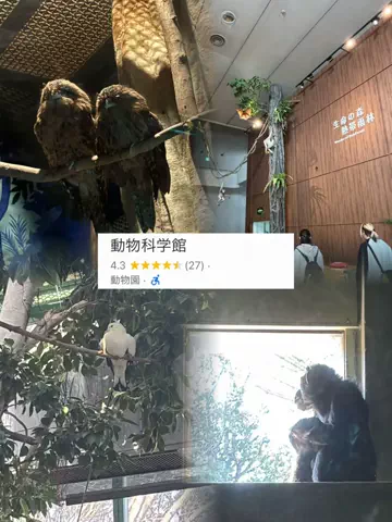 かな？｜台湾ワーホリ中🇹🇼のTikTok投稿