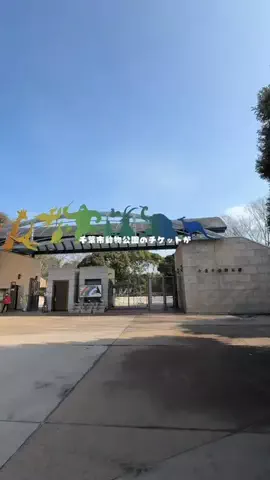 かな？｜台湾ワーホリ中🇹🇼のTikTok投稿