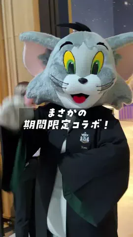 マツシマのTikTok投稿