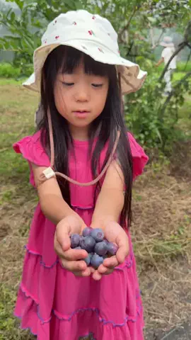 マツシマのTikTok投稿