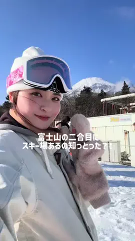 椿のTikTok投稿