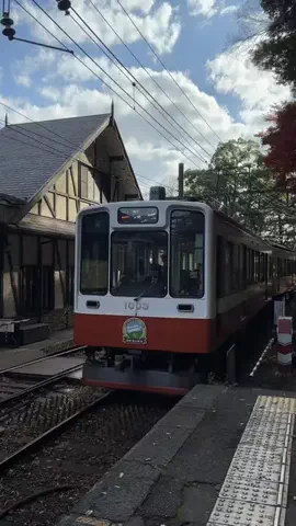 かな？｜台湾ワーホリ中🇹🇼のTikTok投稿