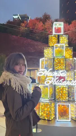 椿のTikTok投稿