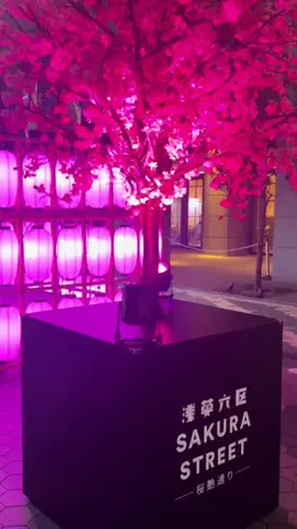 トレンドroom🔑 ｜トレンド発信の出発地！のTikTok投稿