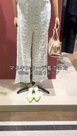 whim_inamuraのTikTok投稿