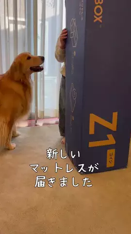 サンのTikTok投稿