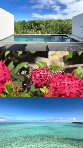 canoco｜ホテル・グルメ・お出かけのTikTok投稿