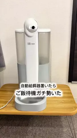 🏰キャットローフ🐈🐾のTikTok投稿