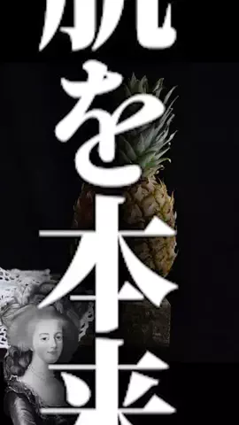 トピナビのTikTok投稿