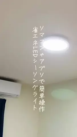 ピンクぱんだのTikTok投稿